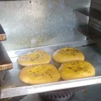 کلوا وبرساق خانگی|خوردنی و آشامیدنی|دورود, |دیوار