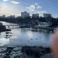 سرایدار برای ویلا