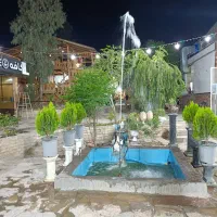 نیروی زرنگ کافه