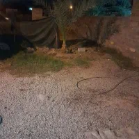 معاوضه پول با  پیکان وانت