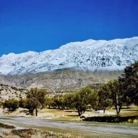 فروش باغ در قطعات مختلف 500و 1000متری