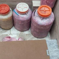 ترشی خانگی|خوردنی و آشامیدنی|قم, ولیعصر|دیوار