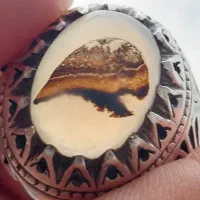 انگشتر نقره شجر سر عقاب ۲۲ گرم