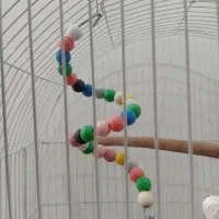 قفس پرنده با اقلام همراه|لوازم جانبی حیوانات|دزفول, |دیوار