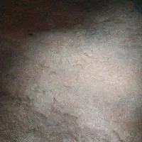 یک خروار کاه دیم