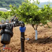 خدمات باغبانی وابیاری قطری سمپاشی گل های اپارتمانی|خدمات باغبانی و درختکاری|تهران, شهرک غرب|دیوار