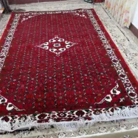 فرش دستباف|فرش|همدان, |دیوار