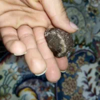 شهاب سنگ|کلکسیون اشیاء عتیقه|تهران, بهمن یار|دیوار