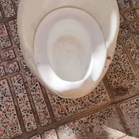 دستشویی کودک|اسباب و اثاث بچه|آبیک, |دیوار