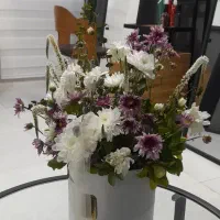 سالن زیبایی بانو مدرس|خدمات آرایشگری و زیبایی|تربت جام, مسکن مهر|دیوار