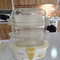 بخارپز مولینکس