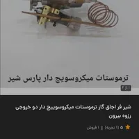 ترموستات میکروسویچ دار