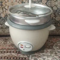 پلوپز سالم کم کار