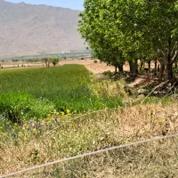 فروش زمین کشاورزی