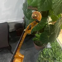 ویلن اروپایی|ویولن|تهران, دکتر هوشیار|دیوار