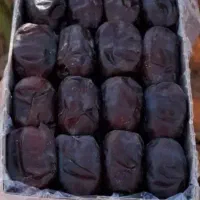 فروش عمده خرمای مضافتی با کیفیت