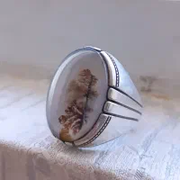 شجر زیبا تک درخت کار دست