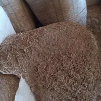 فروش پوشال تمام گردو