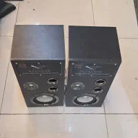 ۱۰ عدد باند چوبی karaoke