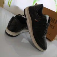 کفش کتونی|کیف، کفش، کمربند|گنبد کاووس, |دیوار