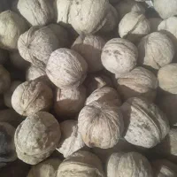 گردوی.امسال.خوشمزه