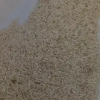 سلام برنج فجرسوزنی ۲تن درجه ۱دارم ب شرط پخت