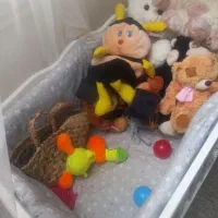 تخت کنار مادر و صندلی غذا