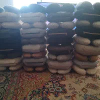 تولید نشیمن دوناتی وگردنی (نیکان)|رختخواب، بالش، پتو|مشهد, رده|دیوار