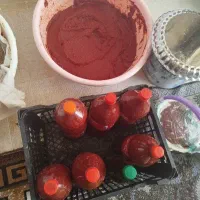 رب گوجه ارسال رایگان