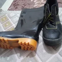 پردیس