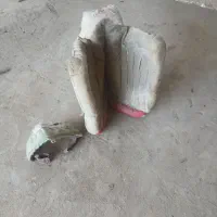 پشتی برای الاغ