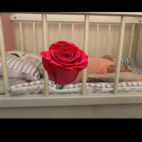 تخت نوزاد|تخت و صندلی بچه|تهران, سازمان برنامه شمالی|دیوار