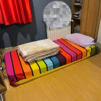 تشک ۱ نفره رویا