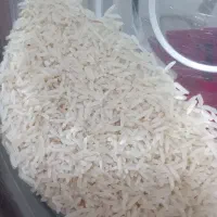 برنج فجرامساله