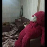 رهن و اجاره ی خانه ی دربست در باغمعروف