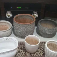 گلدان سالم بزرگ و کوچک