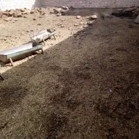 کود گوسفندی|خدمات باغبانی و درختکاری|چترود, |دیوار