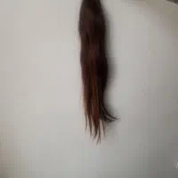 فروش مو طبیعی65 سانت ۱۵۵ گرم