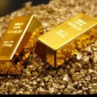 برنامه ی میلی گلد رو نصب کن و۷ سوت طلا هدیه بگیر