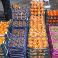 تهیه میوه ازصفرتاصد برای مغازه میوه فروشی تالاررا