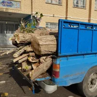 خرید انواع چوب در محل|خدمات باغبانی و درختکاری|ارومیه, |دیوار