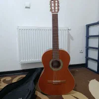 گیتار پارسی مدل m5