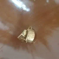 طلا