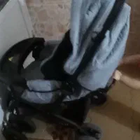 گلاسکه مارک دلیجان