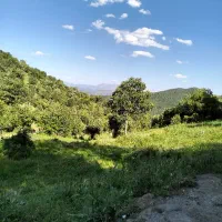 صادرات واردات بازاریابی