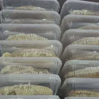 فروش عسل مرغوب درمانی کردستان|عمده‌فروشی|بندر ماهشهر, |دیوار