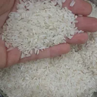 برنج|خوردنی و آشامیدنی|قم, ناصردیوان|دیوار