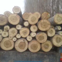 خرید انواع چوب|خدمات باغبانی و درختکاری|نوشین شهر, |دیوار