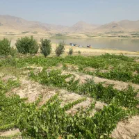 باغ کنار سد تفریحی