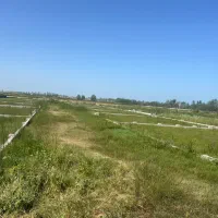 ۱۸۰ متر زمین در چاف باقیمت کاسبی|فروش زمین و ملک کلنگی|چاف و چمخاله, |دیوار